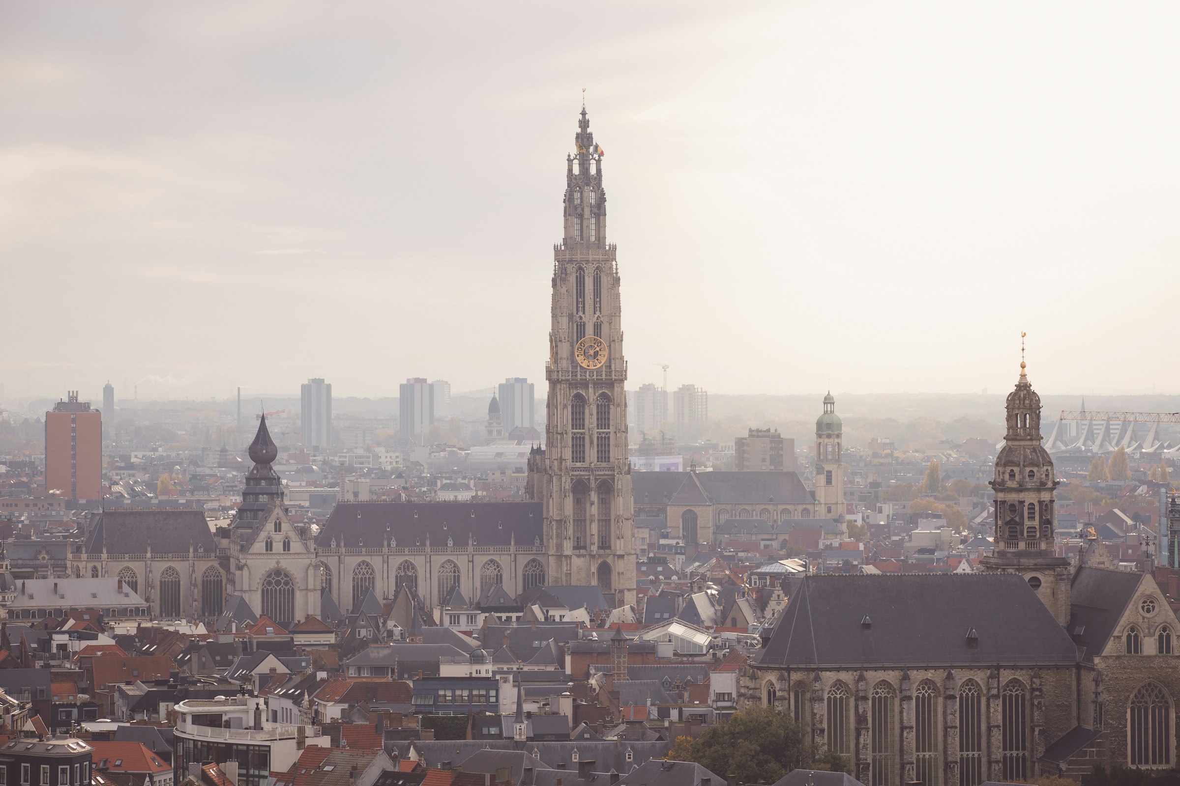 Déménagement à Anvers, Team Courses