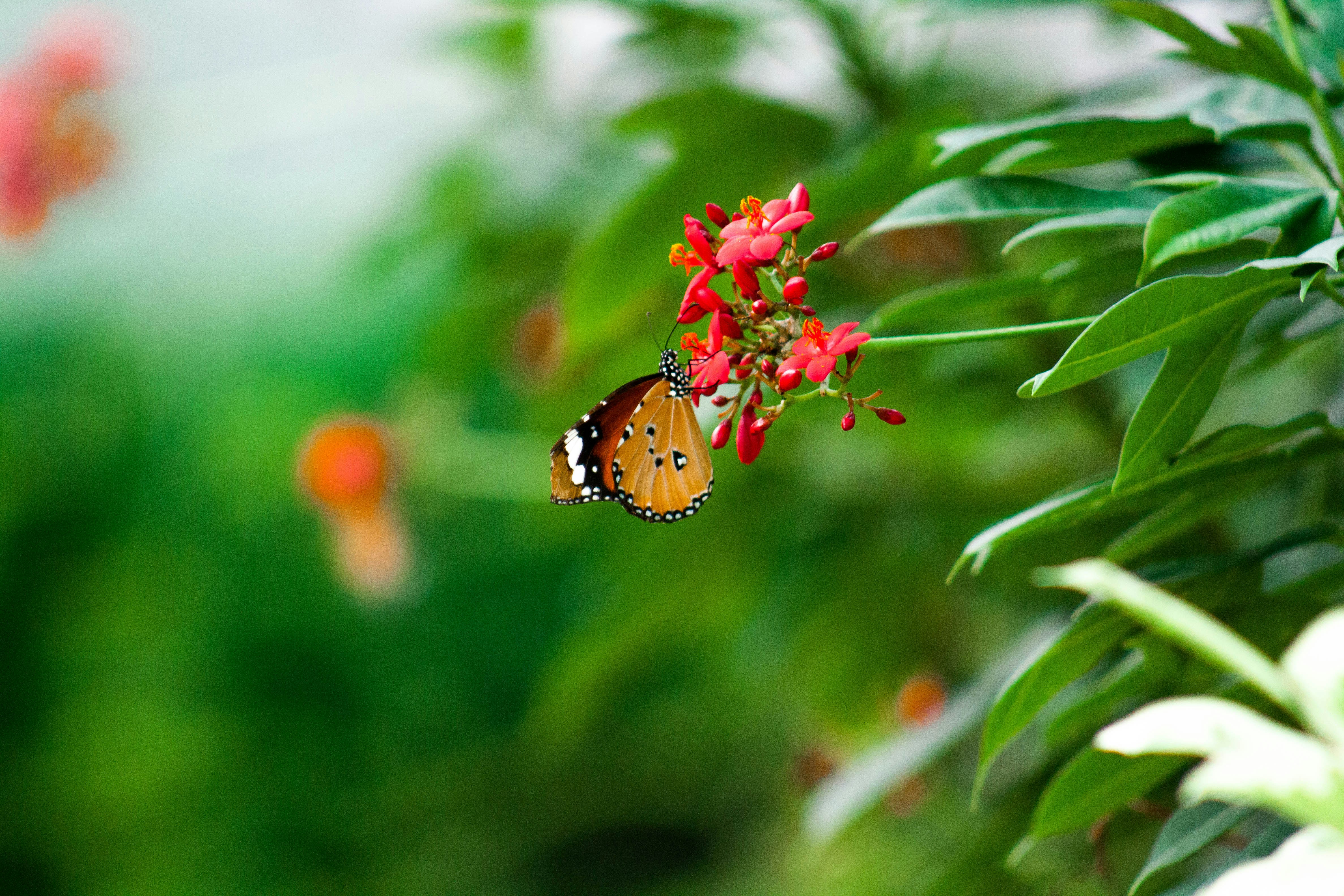 Photo by talhaismail22