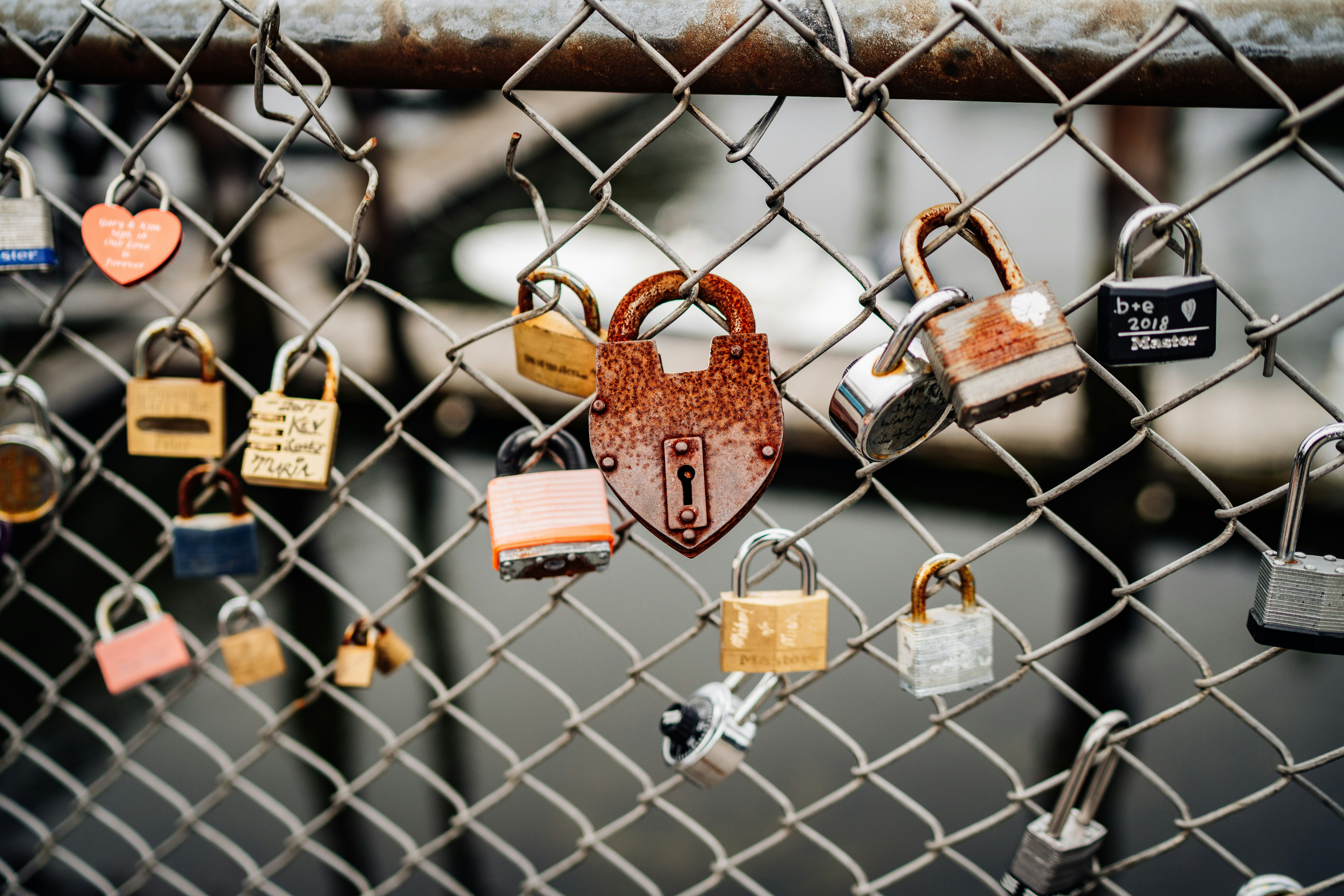 padlocks on fence