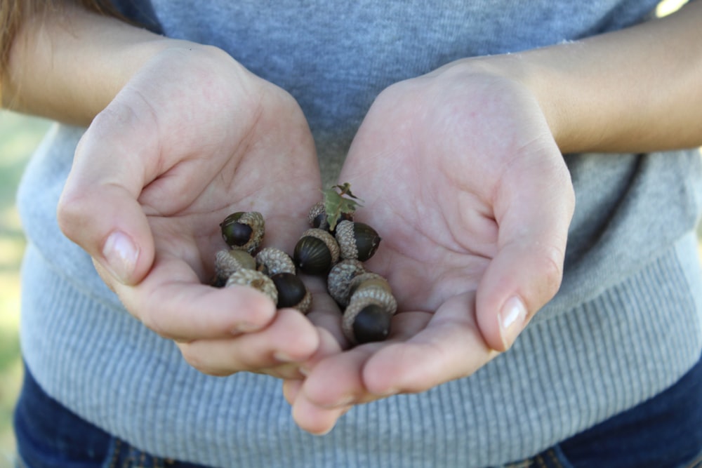 person holding seeds