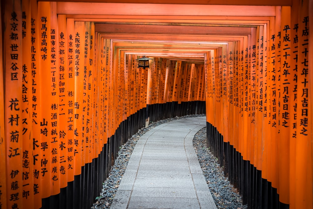Pasillo rodeado de arcos cuadriculados de madera, decorados con Kanji, en el Santuario de Fushimi Inari Taisha, viajar a Japón