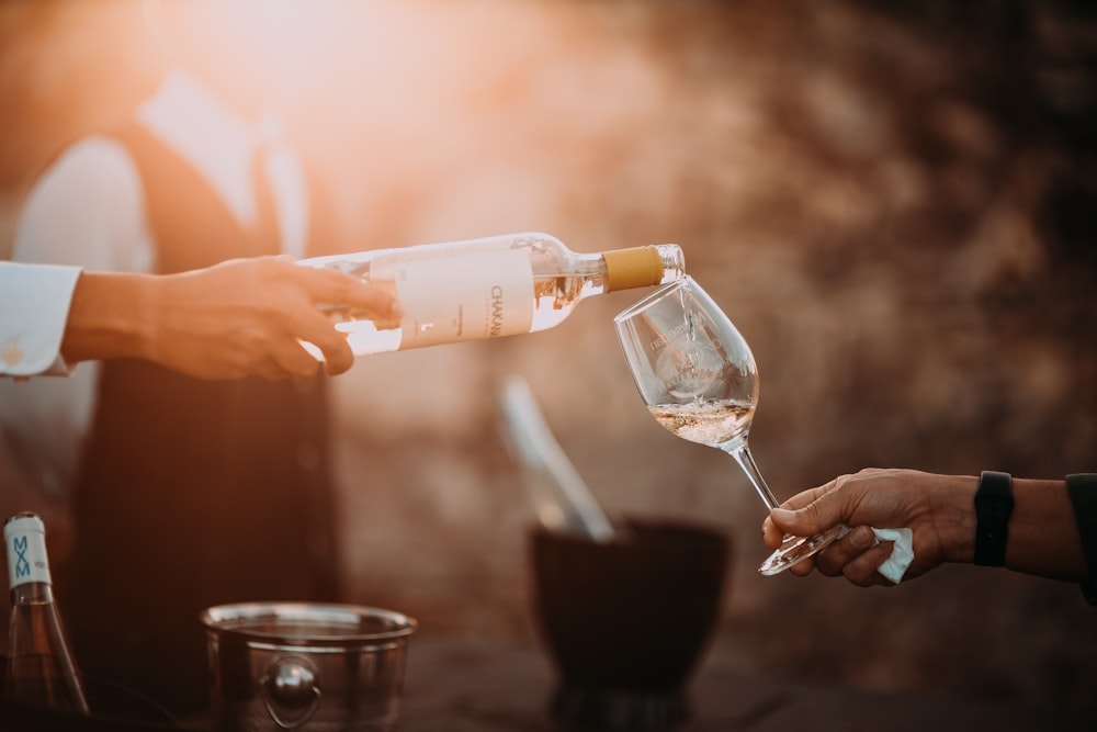 personne tenant une bouteille de vin en verre