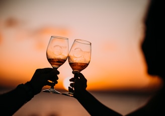 silhouette photography of two person holding long-stem wine glasses
