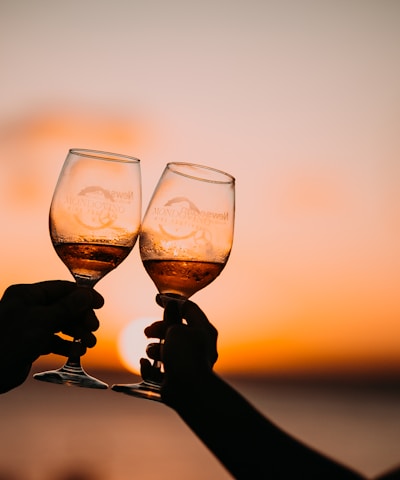 silhouette photography of two person holding long-stem wine glasses