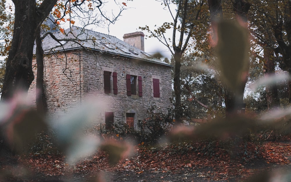 selective focus photography of gray concrete house