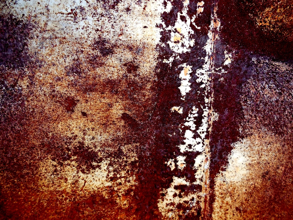 a rusted metal surface with white and brown paint