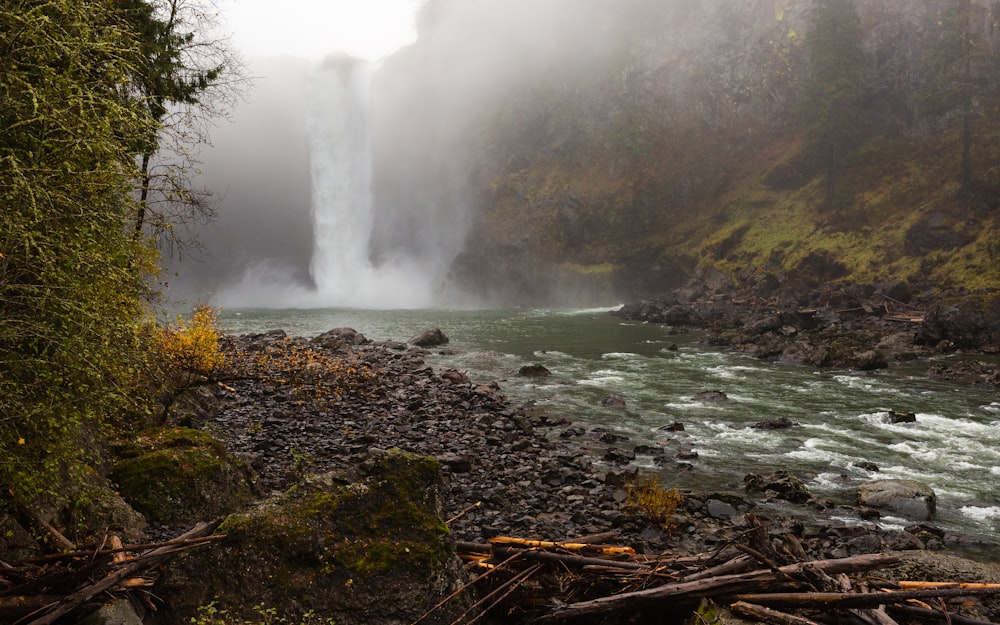 Wasserfall umgeben von Bäumen