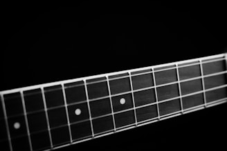 A close-up view of a guitar fretboard, featuring several frets and dots used as position markers. The strings run parallel over the dark wooden surface, creating a pattern of lines and shapes.