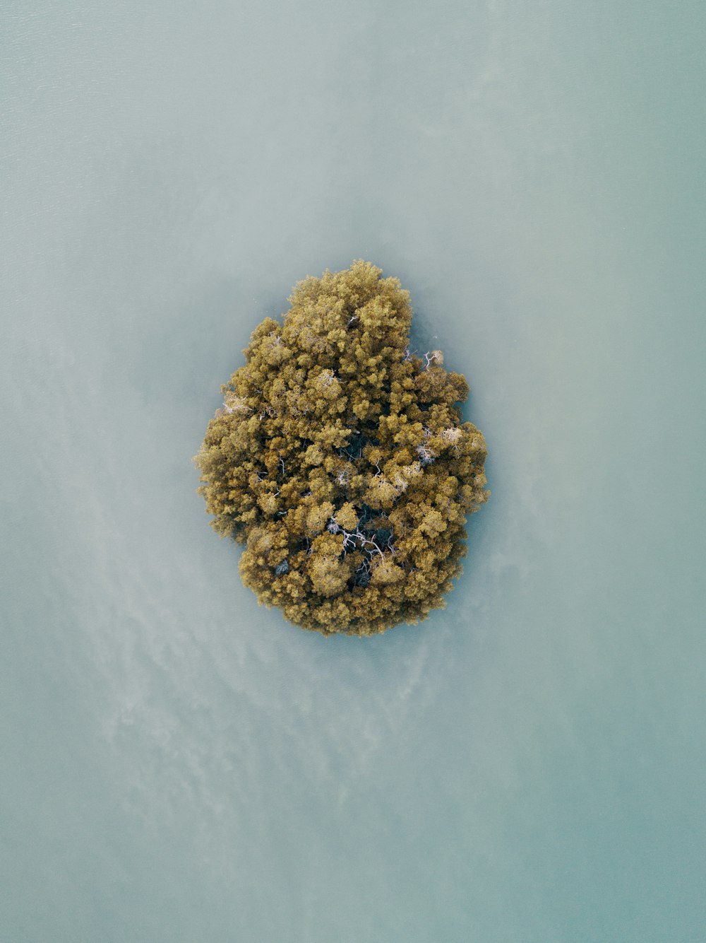 Photographie aérienne d’une île
