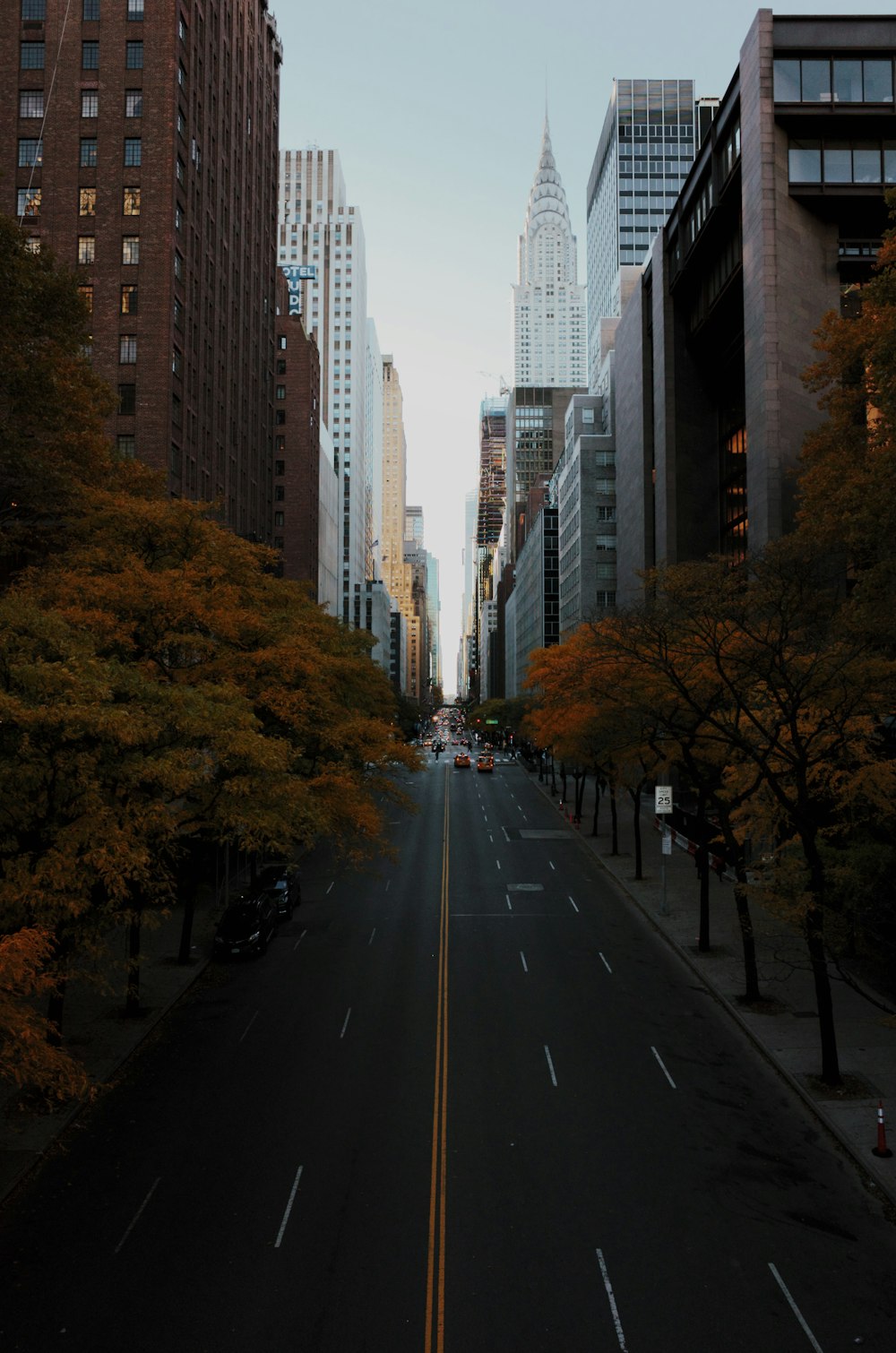 Fotografía en perspectiva única de un camino rodeado de edificios