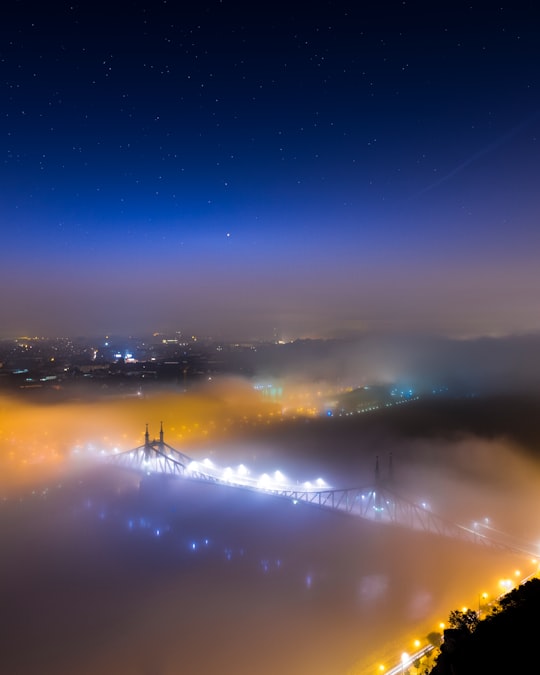 bridge covered with fog during nighttime in Liberty Bridge Hungary