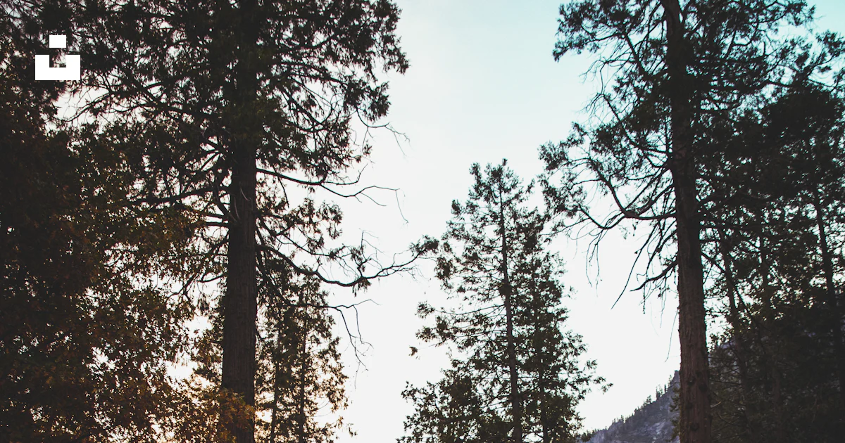 Black road path photo – Free Yosemite valley Image on Unsplash