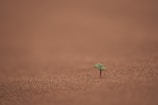 An inspiring landscape symbolizing new opportunities and growth.