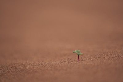 An inspiring landscape symbolizing growth and potential.