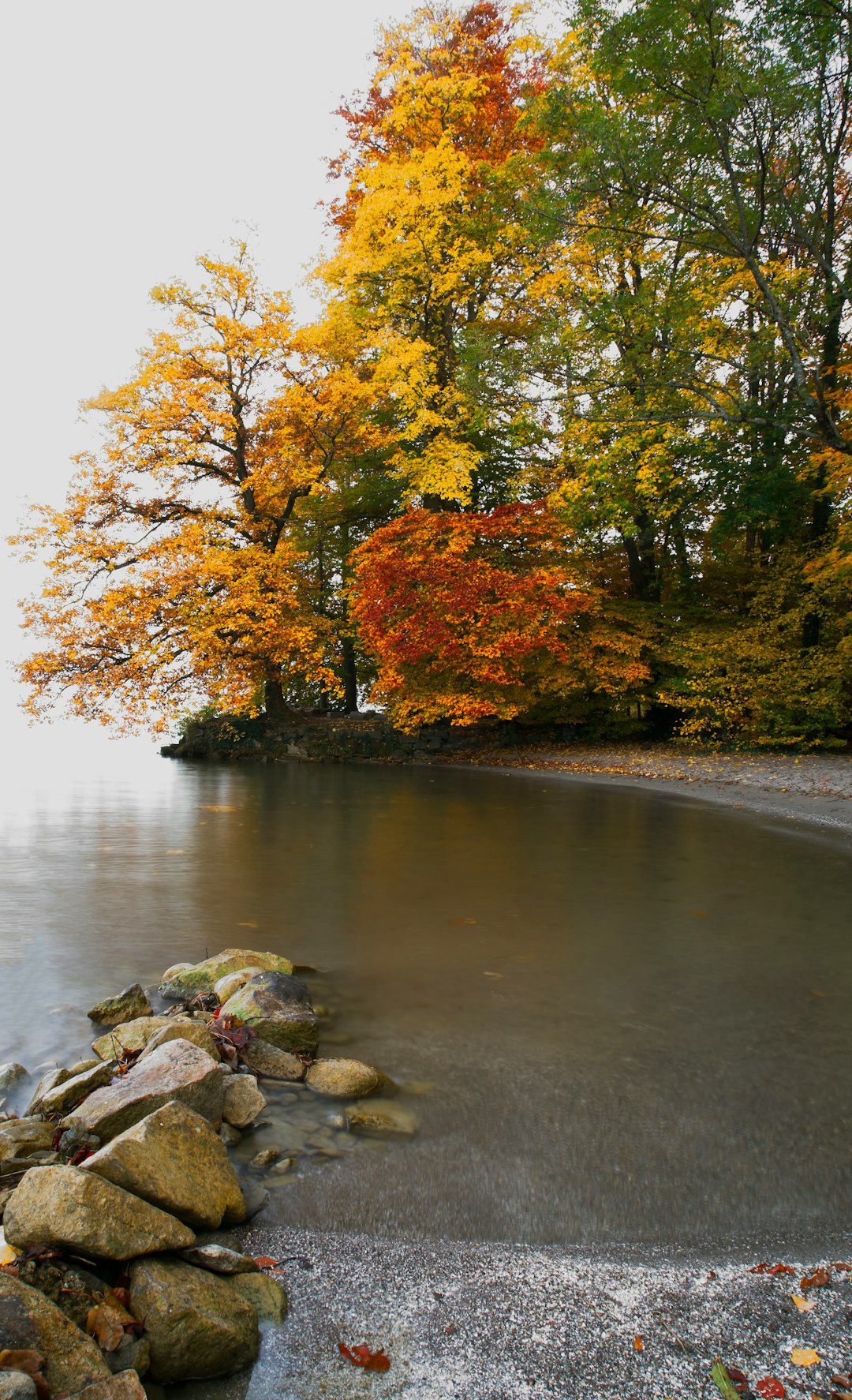 River photo spot Horgen Moosseedorf