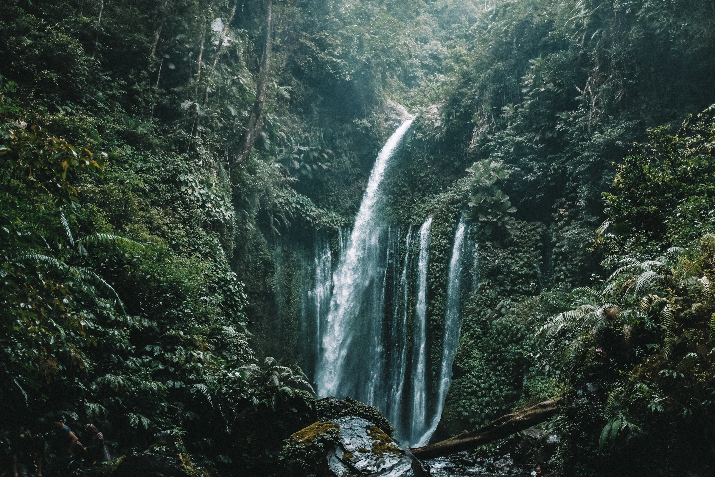 Wasserfall im Regenwald auf Lombok