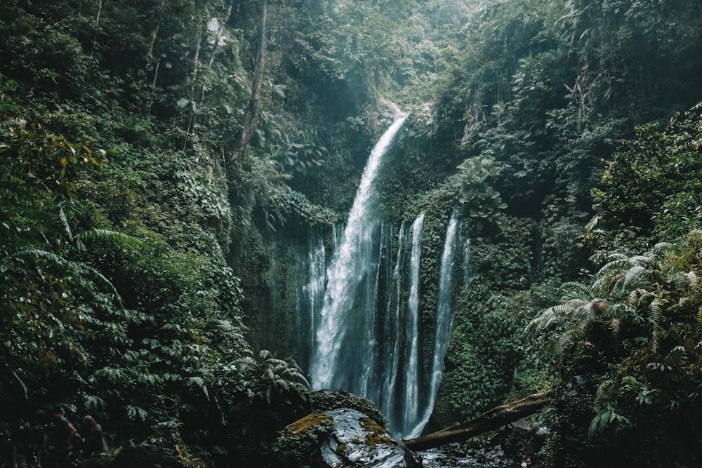 a large waterfall in the middle of a forest