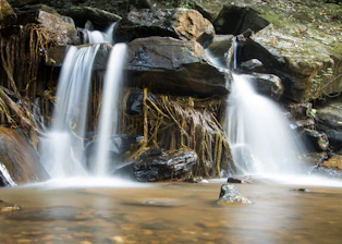 A serene waterfall cascading over mossy rocks surrounded by lush greenery.