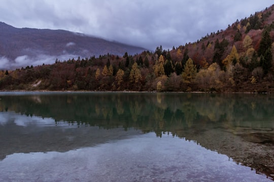 Lake Molveno things to do in Trentino-South Tyrol