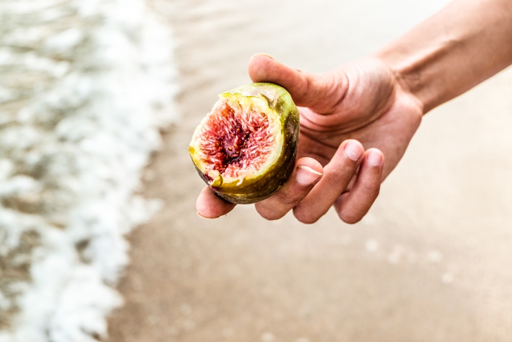 person holding round green fruit overlooking beach waves on shore at daytime