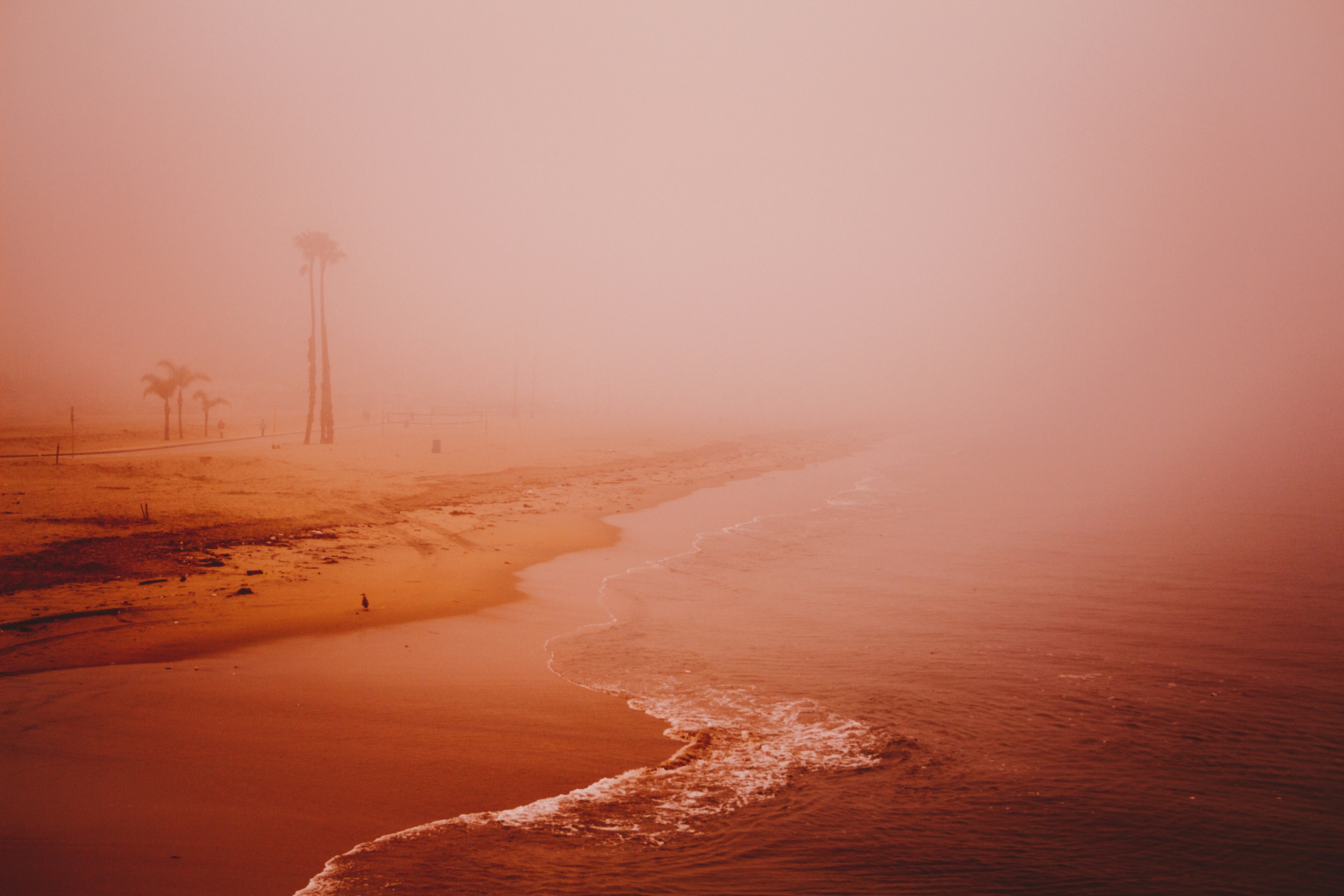 Person, die Strandufer zeigt