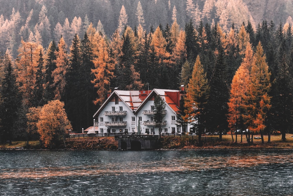 white house near pine trees and body of water