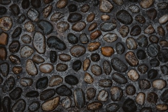 assorted-color stones