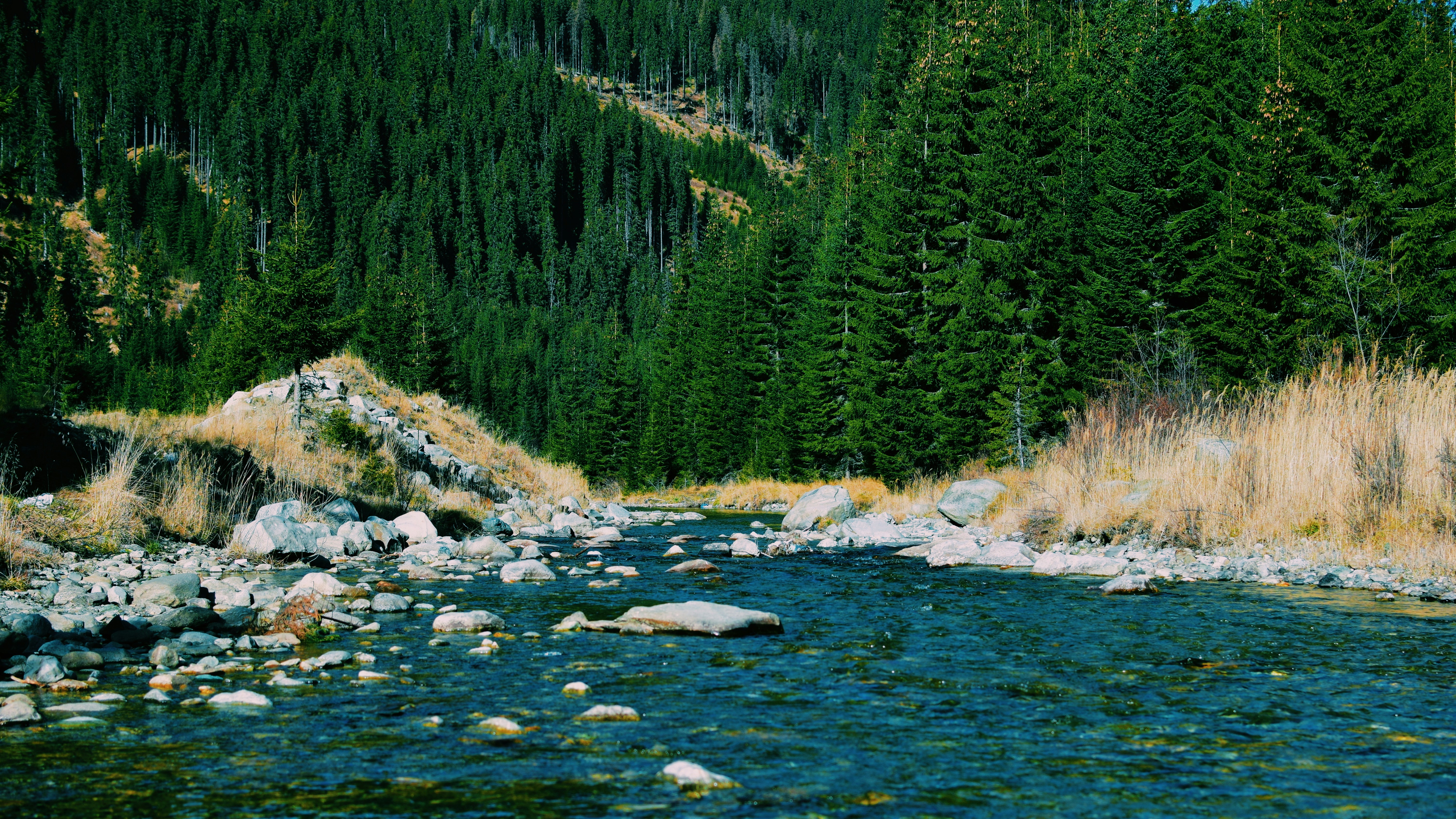 While visiting one of the most beautiful roads in Romania, I had to stop and enjoy this river.