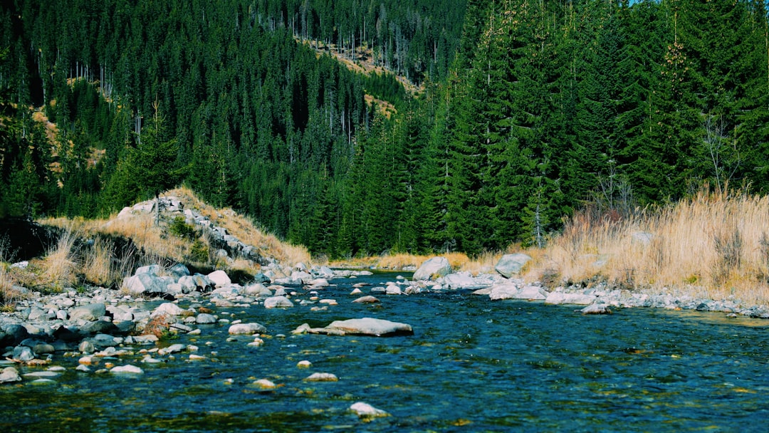 Mountain river photo spot ObÃ¢rÅŸia Lotrului Romania