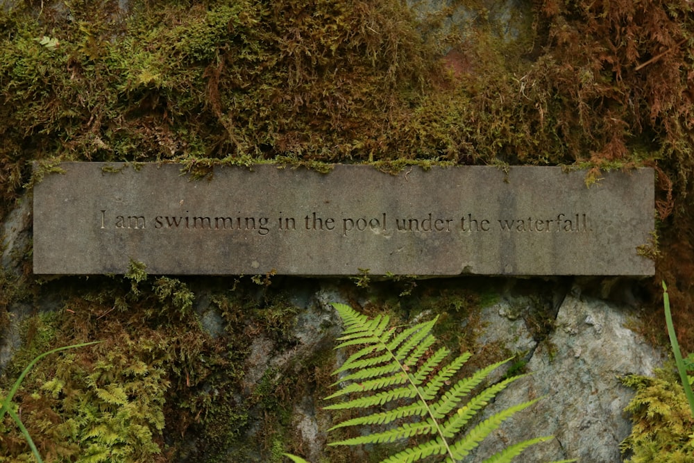 I am swimming in the pool under the waterfall signage