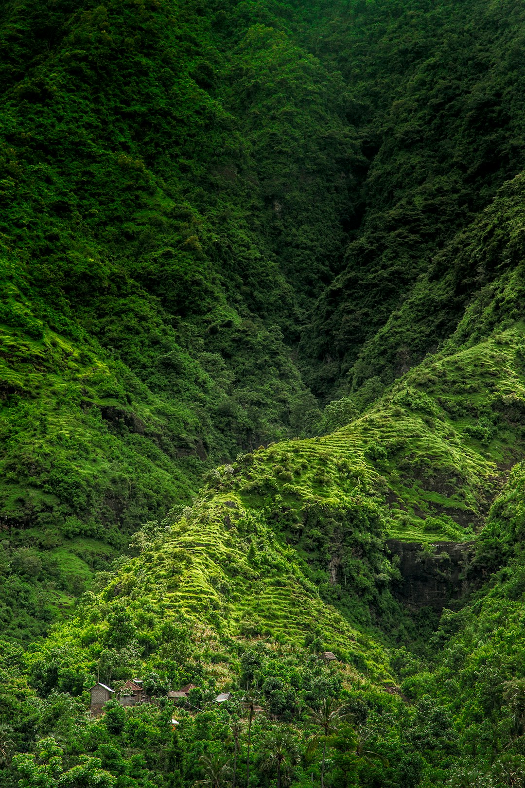 photo of Bali Nature reserve near Gili Islands