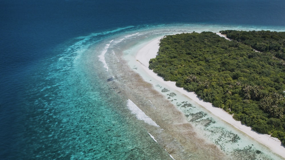 aerial photography of island