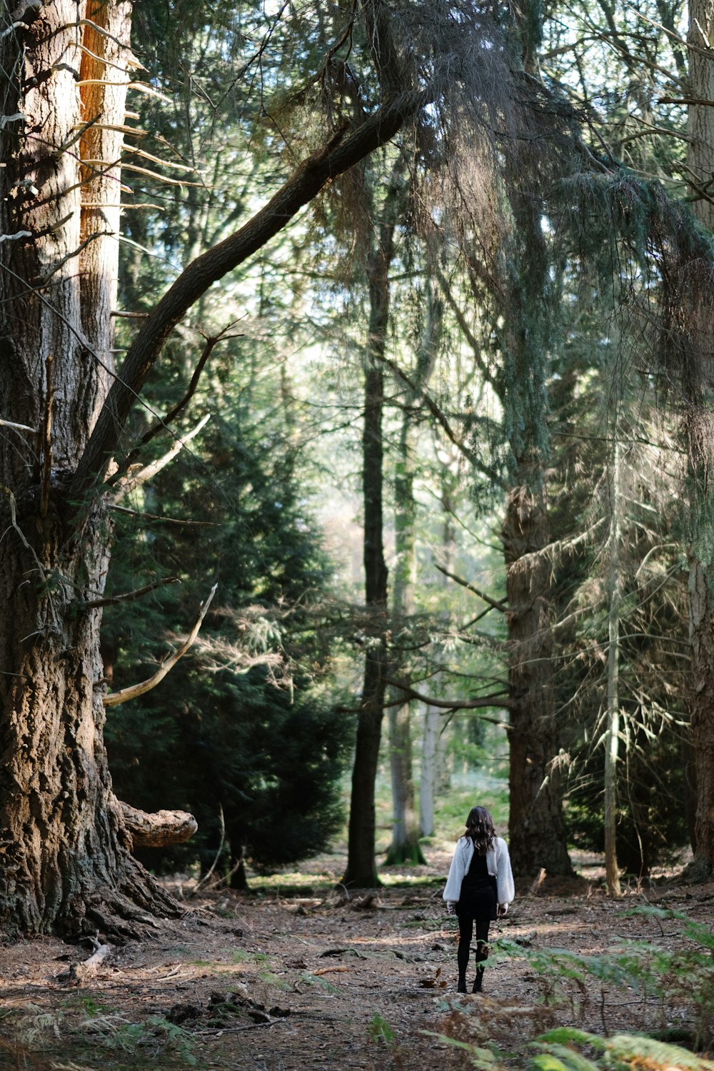 Mujer de pie en el bosque