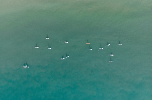 A group of paddleboarders scattered across a large body of water, seen from above. The water has a calm, greenish hue, and each paddleboarder casts a shadow on the surface.
