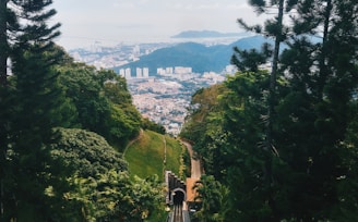 city buildings
