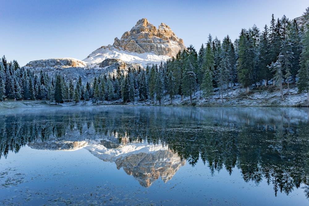 lake surrounded by green pine trees during daytime