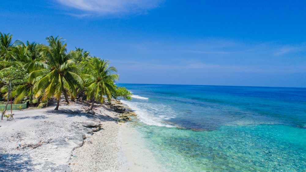 view of beach during daytime