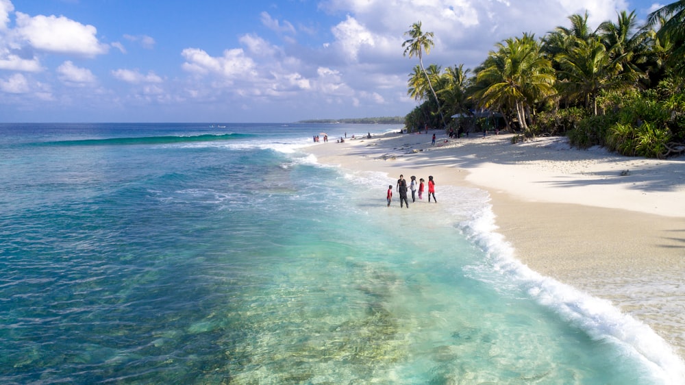 people on seashore during daytime