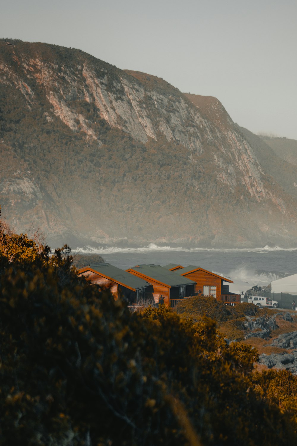 birds eye photography of houses near body of water