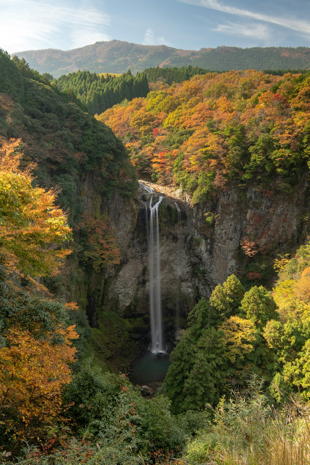 waterfall view surrounded by trees