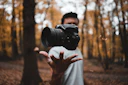 Lightroom Color Grading & Free RAW Presets