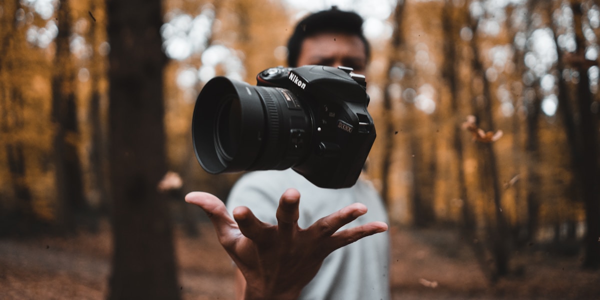 Unsplash and Pixabay