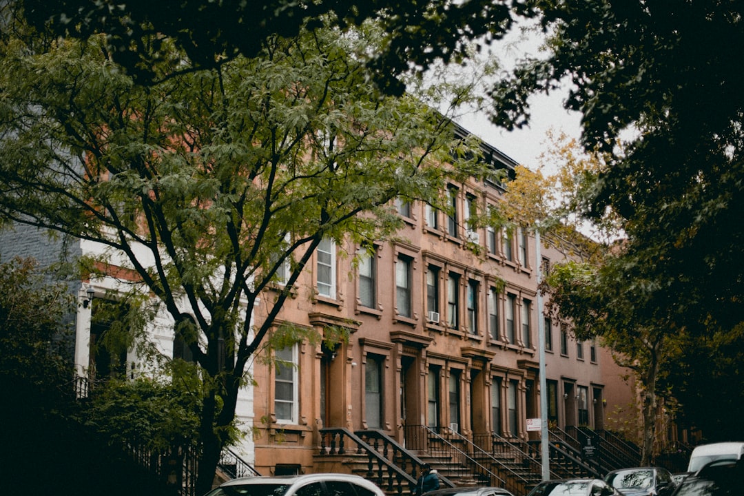 Travel Tips and Stories of Harlem in United States