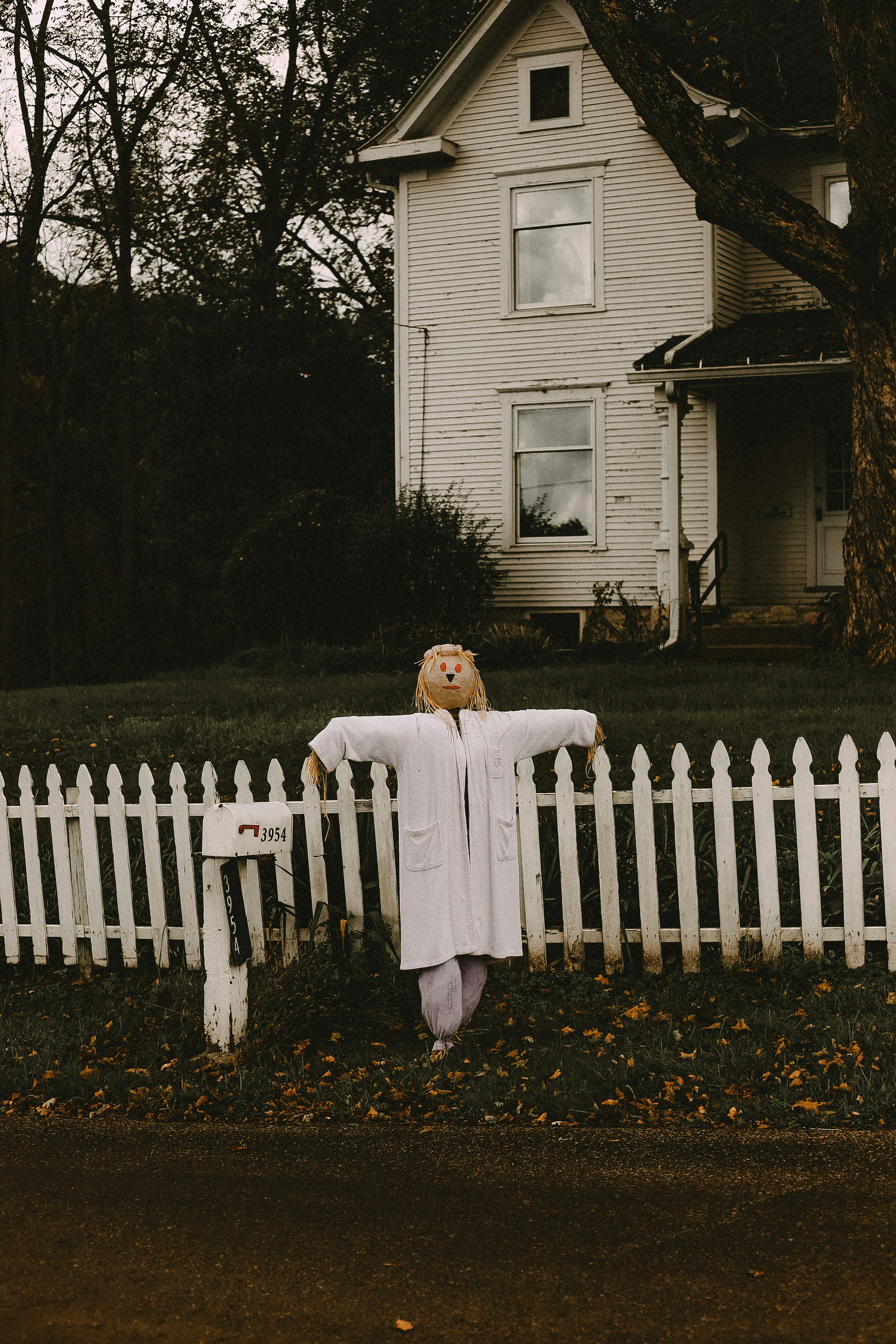 Natural Bird Repellent | How To Keep Birds Out Of Your Garden Safely