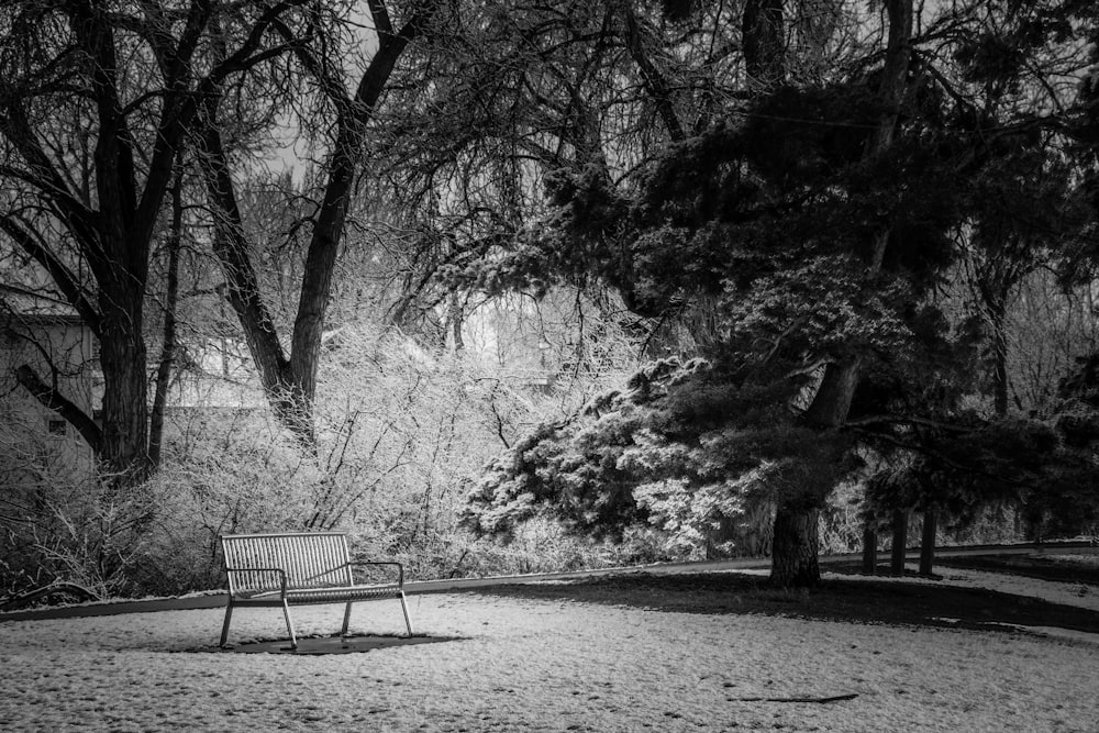 公園のベンチの白黒写真