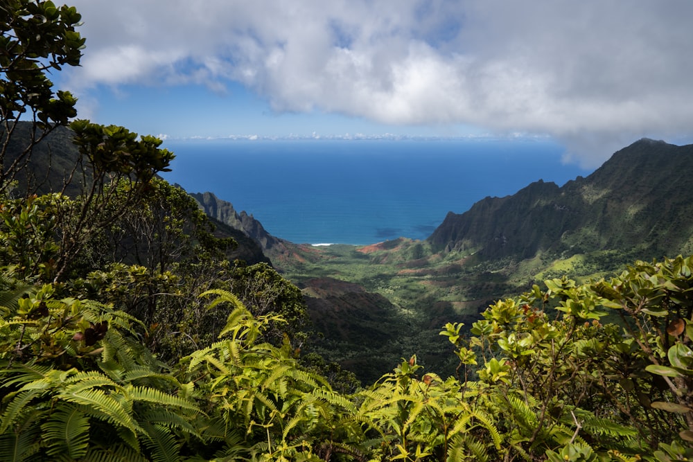 uma vista do oceano do topo de uma montanha