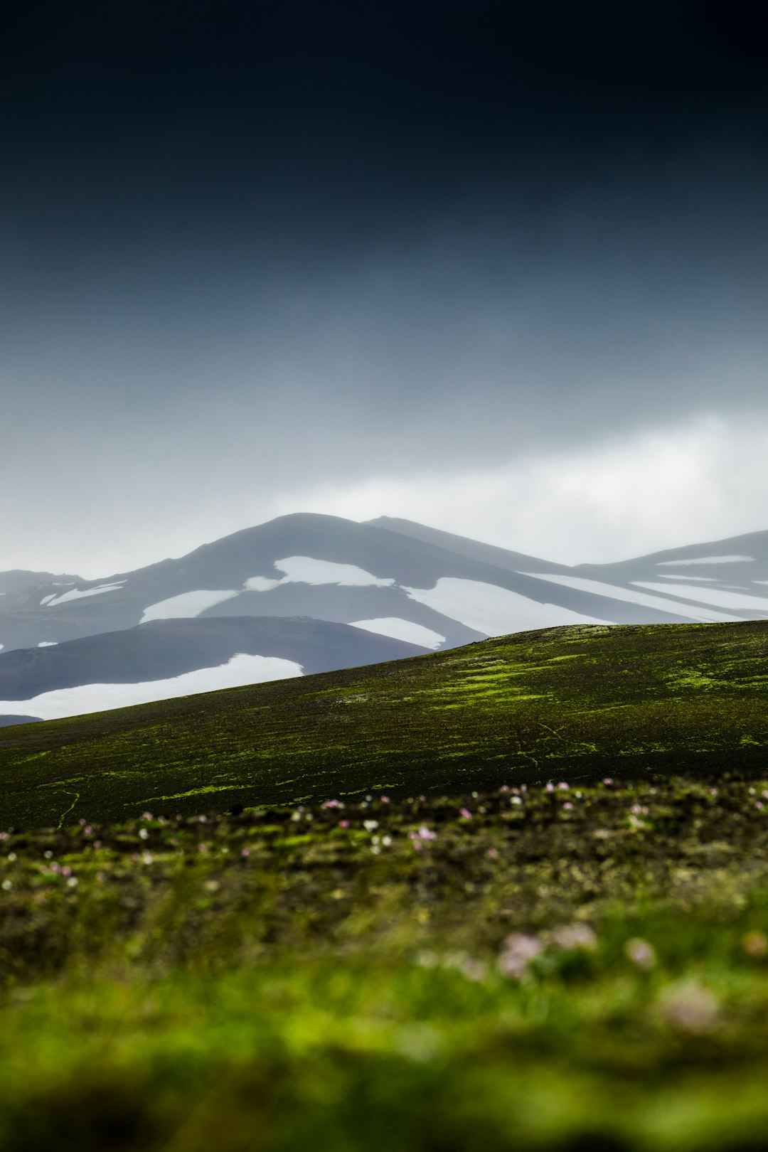 green grass field