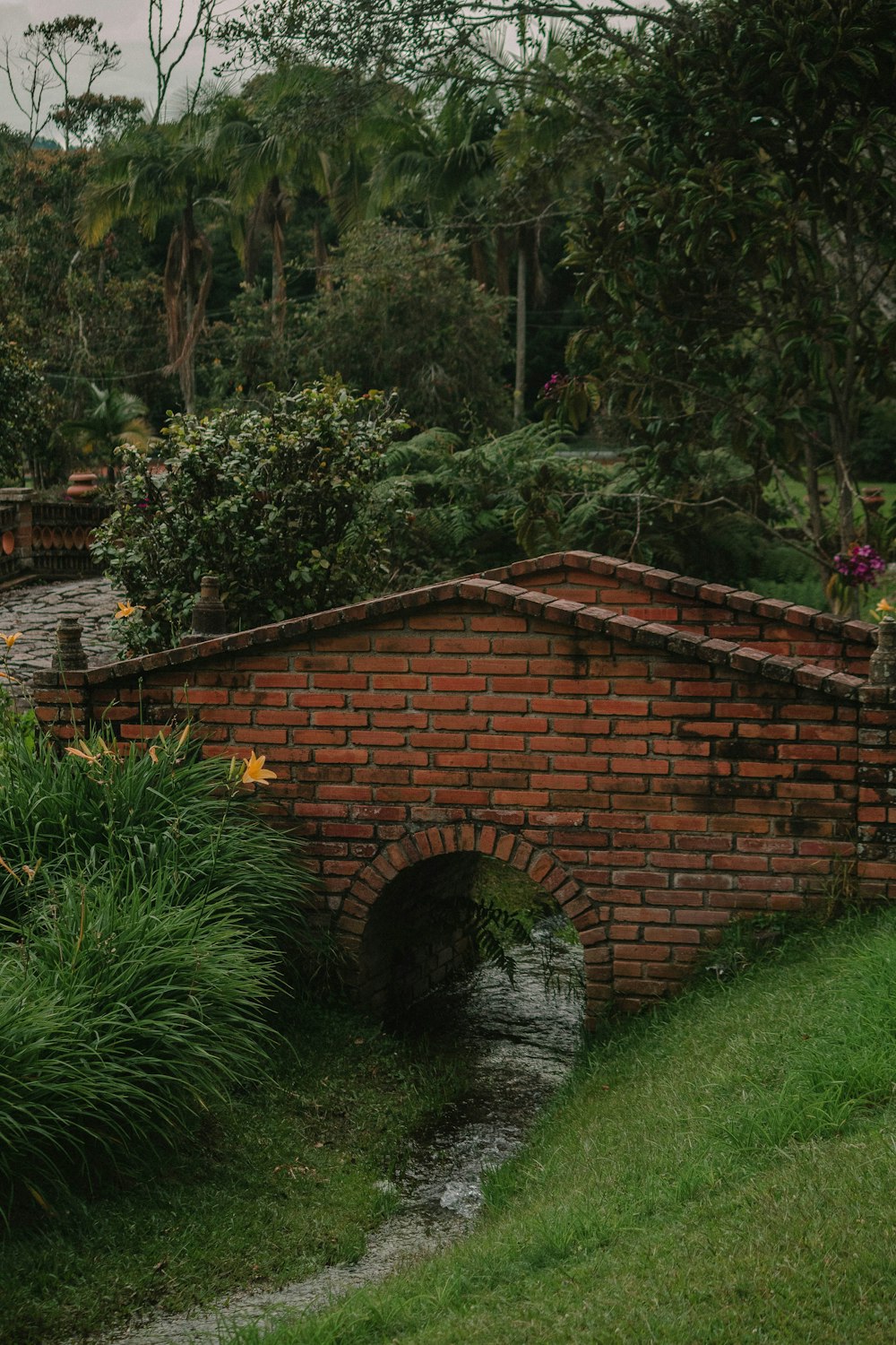 empty brick bridge surrounded by trees during daytime