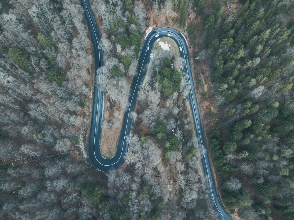 vários carros brancos viajando em estrada sinuosa através da floresta