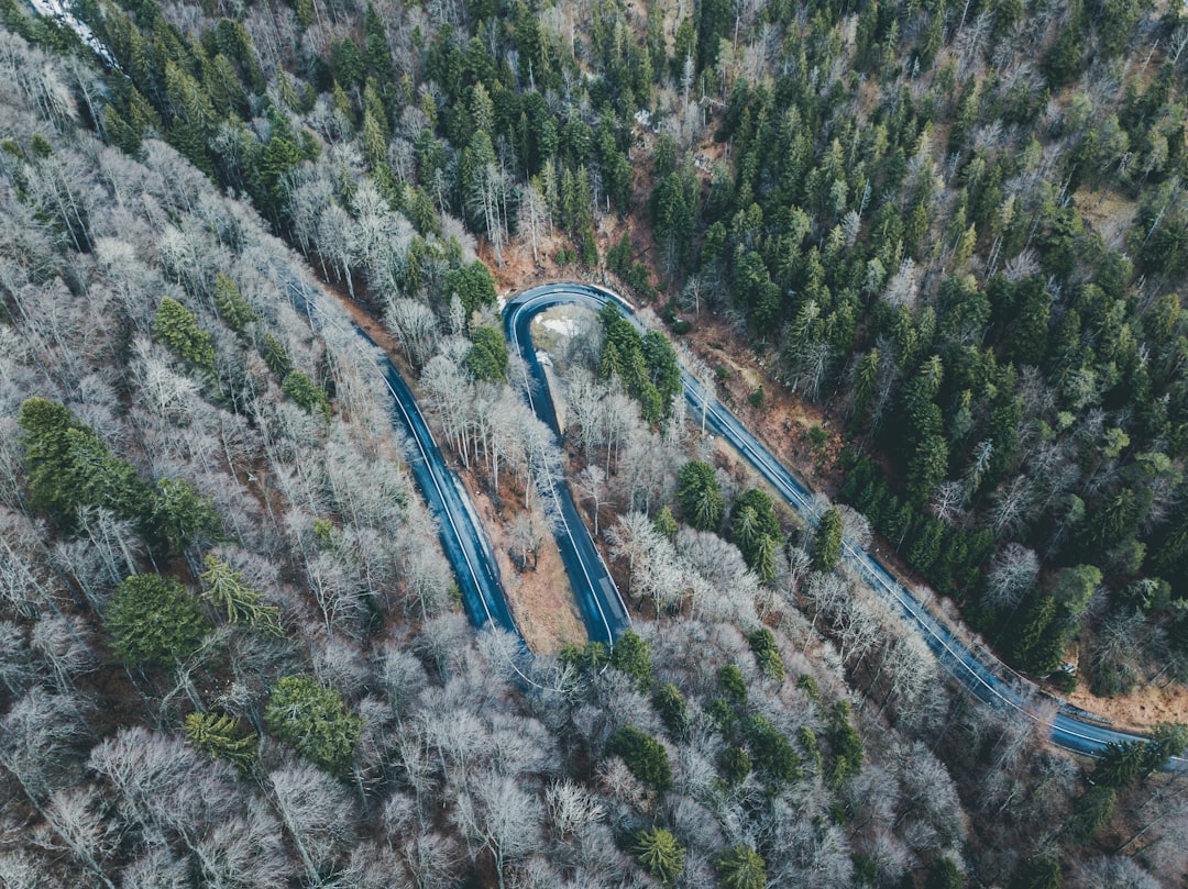 Forest photo spot La Tourne Saint-Brais